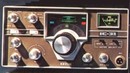 IC-31